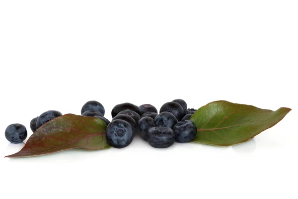 Blueberry Fruit — Stock Photo, Image