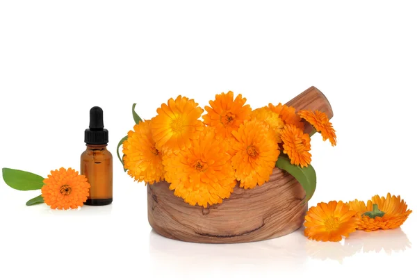 Marigold Flowers and Essence — Stock Photo, Image