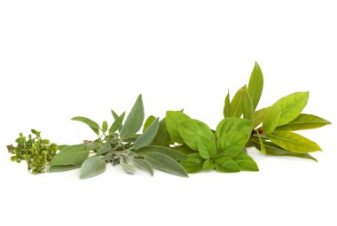 Thyme, Sage, Oregano and Bay Herbs clipart