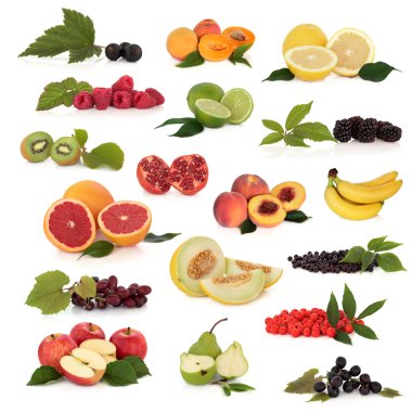 Fruit Collection clipart