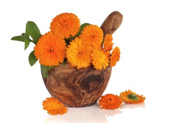 Marigold Flowers clipart