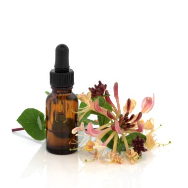 Honeysuckle Essence clipart