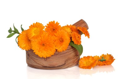 Marigold Flowers clipart