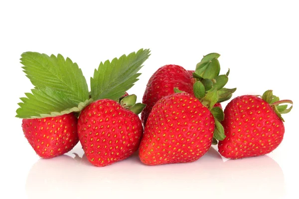 草莓果 — 图库照片