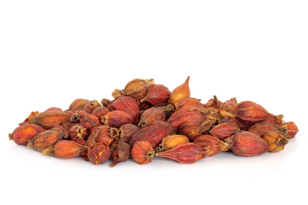 말린된 치자 열매 — 스톡 사진