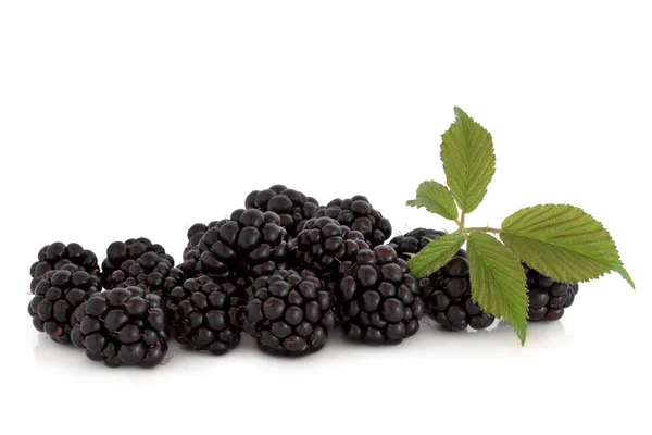 黑莓水果 — 图库照片