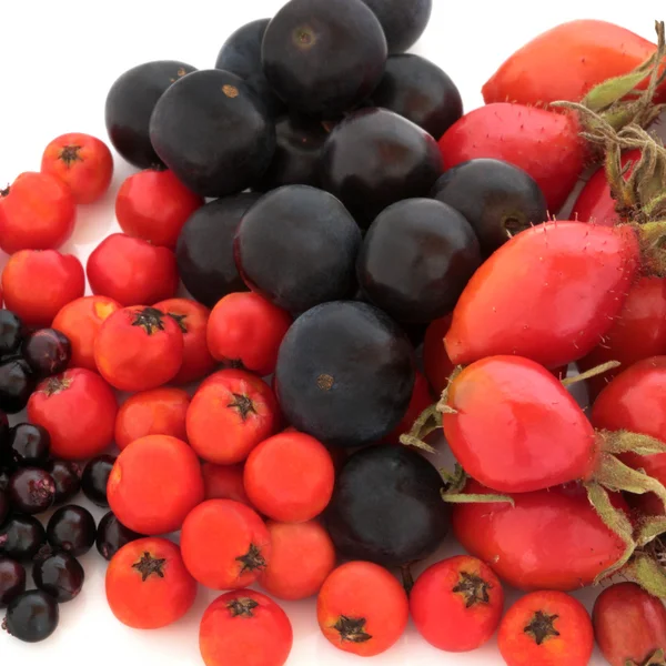 Frutas silvestres de otoño — Foto de Stock