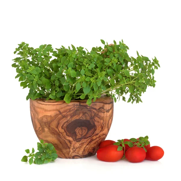Herb bazalkou a rajčaty — Stock fotografie