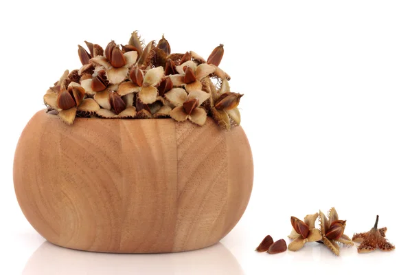 Buk ořechy — Stock fotografie