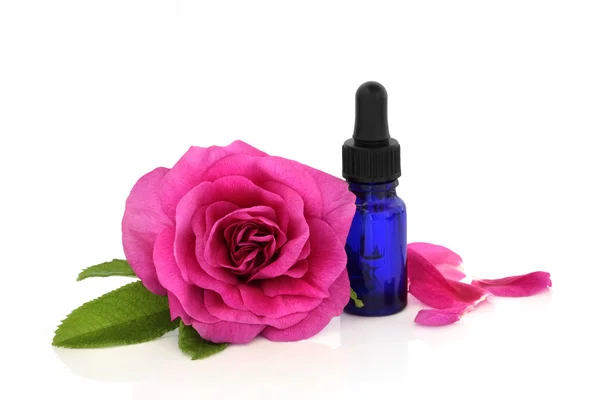 Rose Flower Essential Oil — Stock Photo, Image