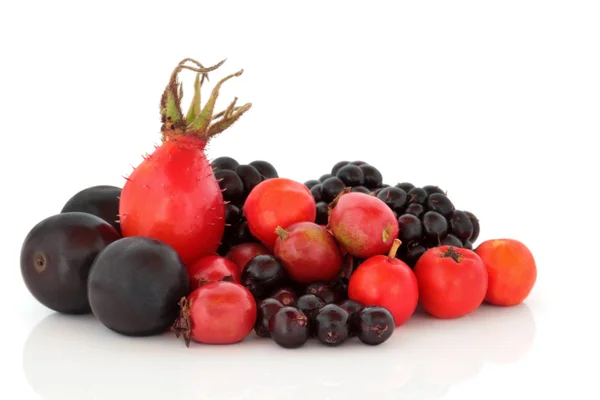 Jesień wybór owoców jagodowych — Zdjęcie stockowe