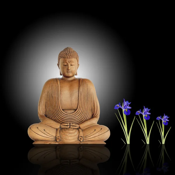 Buddha illuminato — Foto Stock