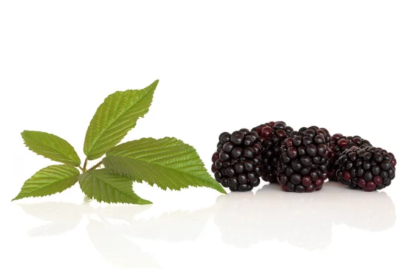 ブラックベリーの果実 — ストック写真