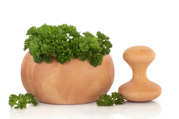 Parsley Herb Leaves — Stock Photo, Image