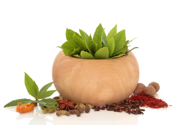 Herb and Spice Selection Stock Image