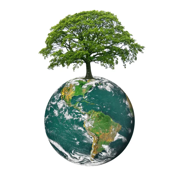 Salvar as árvores — Fotografia de Stock