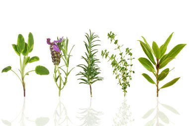 Herbs clipart