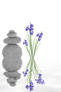 Zen Garden Beauty clipart