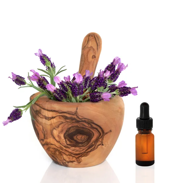 Lavender Herb Flowers and Essence — Stock Photo, Image