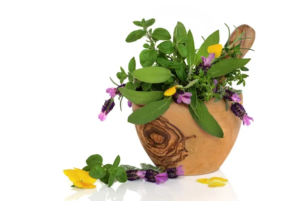 Healing Herbs and Flowers — Stock Photo, Image