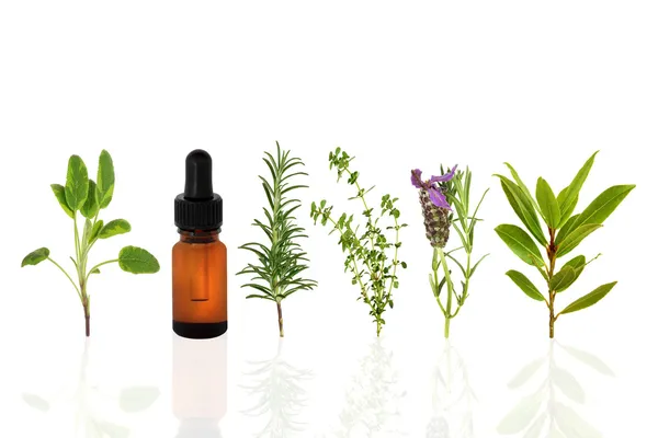 Healthy Herbs — Stock Photo, Image