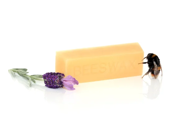 Abejorro y cera de abeja — Foto de Stock