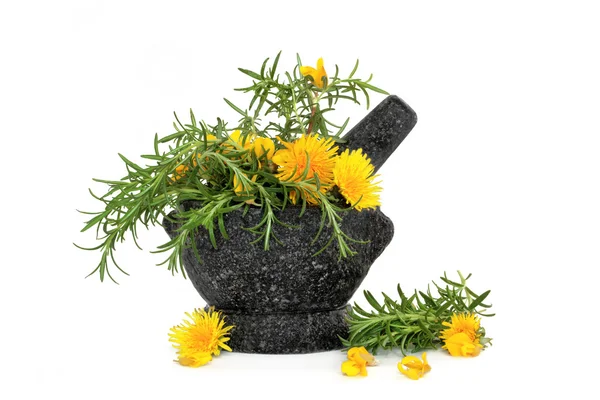 Rosemary Herb e Flores Selvagens — Fotografia de Stock