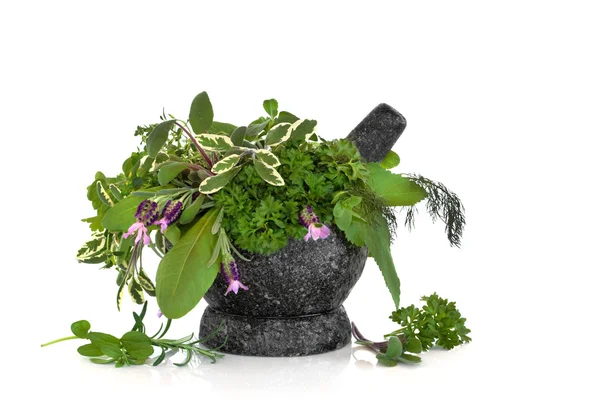 Healing Herbs — Stock Photo, Image
