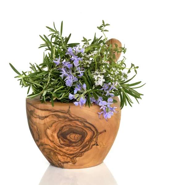 Rosemary and Thyme Herbs — Stock Photo, Image