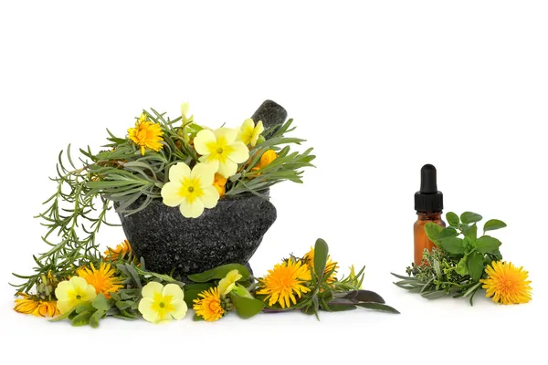 Wild Flower and Herb Therapy — Stock Photo, Image