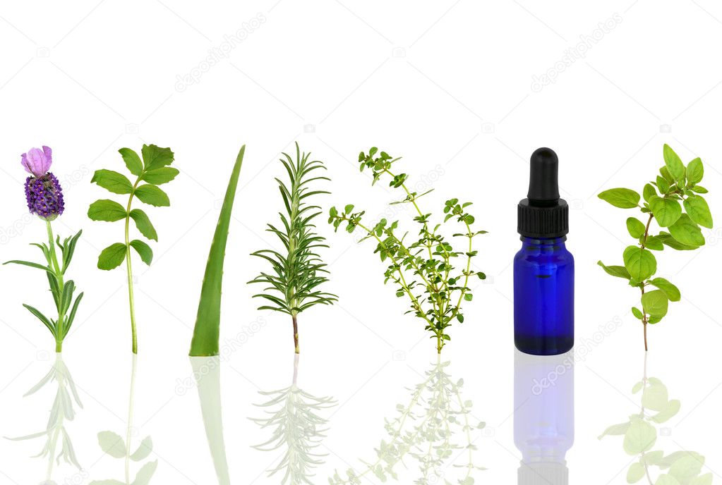 Medicinal and Culinary Herbs