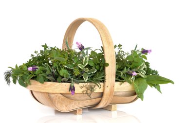 Basket of Fresh Herbs clipart
