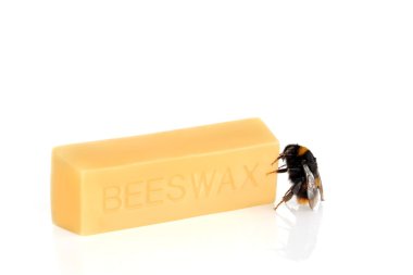 Bumblebee and Beeswax clipart