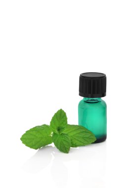 Peppermint Herb Essence clipart