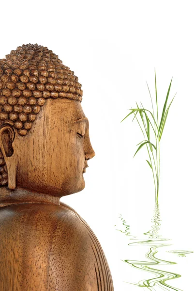 Contemplação de Buda — Fotografia de Stock