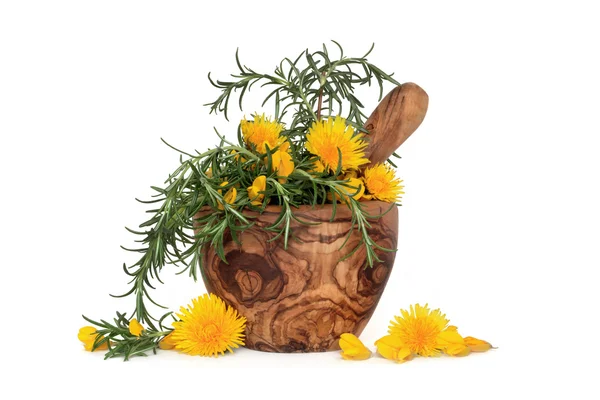 Rozmaring gyógynövény és a vadvirágok — Stock Fotó