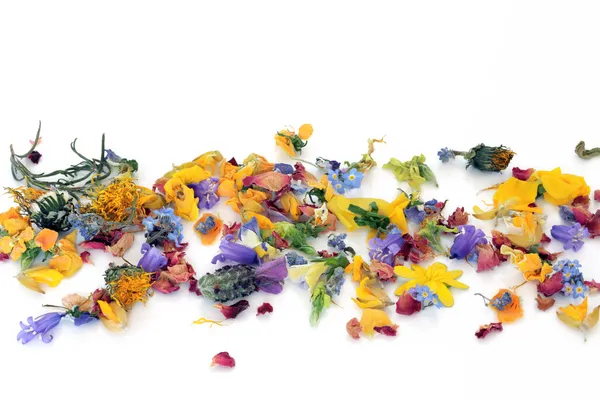 Porozrzucane kwiaty i zioła — Zdjęcie stockowe