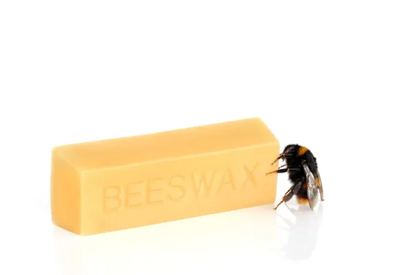 Bumblebee και κερί μέλισσας — Φωτογραφία Αρχείου