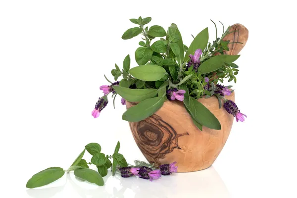 Lavendel blommor och ört-blad — Stockfoto