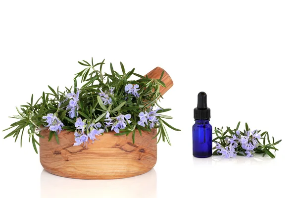 Rosemary herb a esence — Stock fotografie