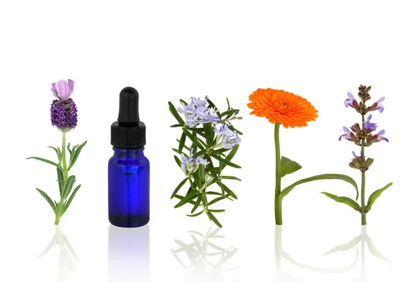 Aromaterapia zioła i kwiaty — Zdjęcie stockowe