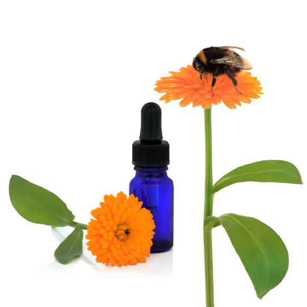 Ringelblumen-Aromatherapie — Stockfoto