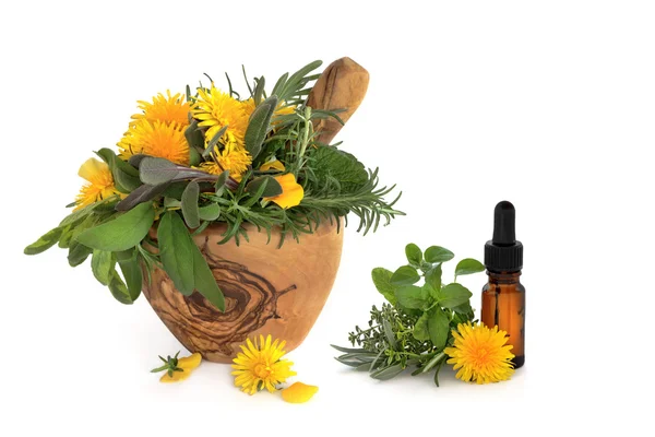 Terapia con hierbas y flores silvestres —  Fotos de Stock