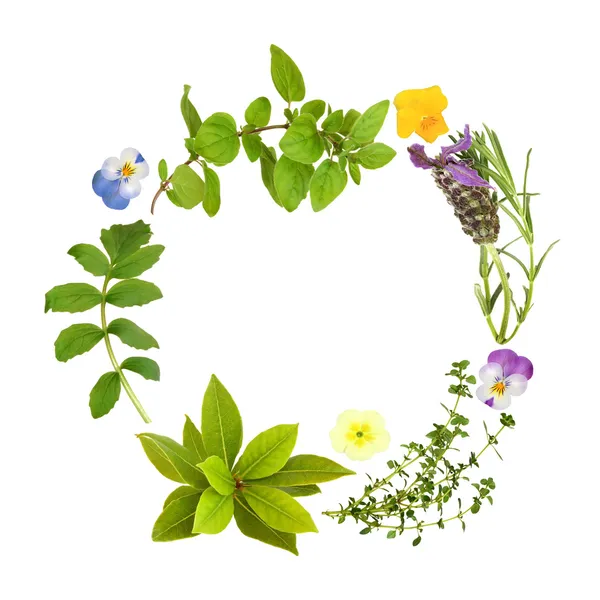 Herb Leaf and Floral Garland — Stock Photo, Image