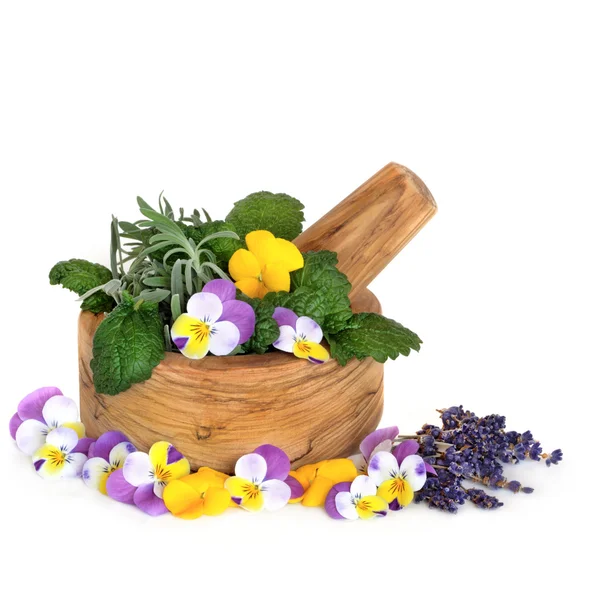 Medicinska och kulinariska örter och blommor — Stockfoto