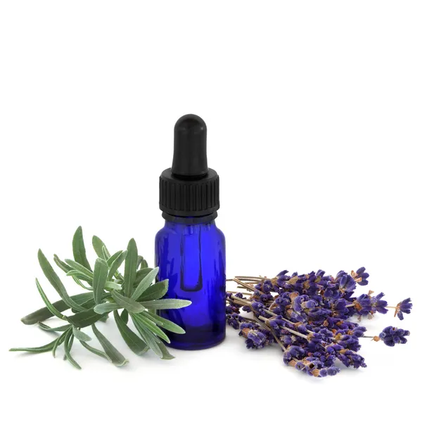 Lavender Herb Essence — Stock Photo, Image