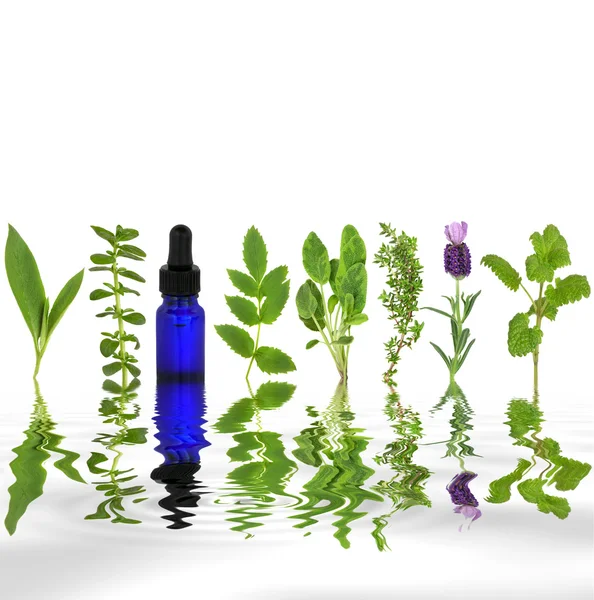 Terapia herbal — Foto de Stock