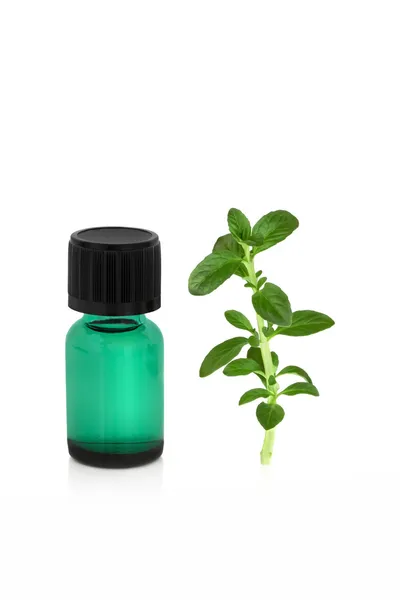 Peppermint Leaf and Essence — Stock Photo, Image