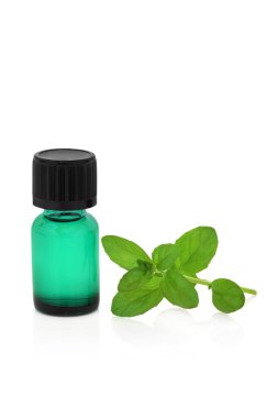 Peppermint Herb Essence clipart