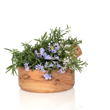 Rosemary and Thyme Herbs clipart